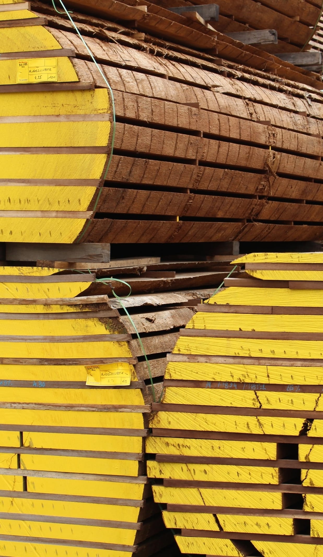 Construction & Matériaux bois