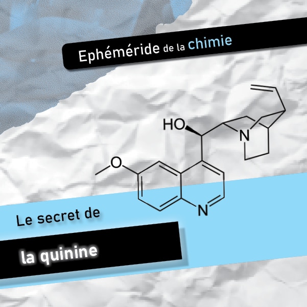 Miniature du secret de la quinine
